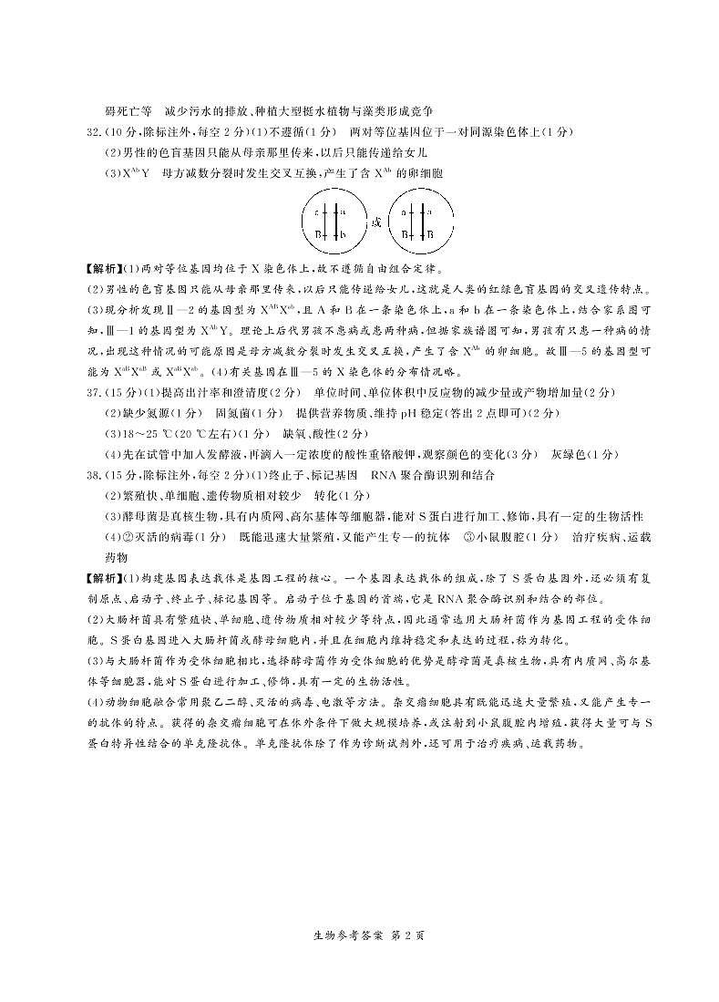 2021届湘豫名校联盟高三下学期5月联考理综试卷 PDF版02