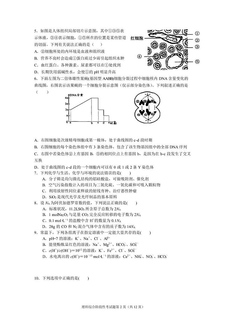 2019届四川省成都市第七中学高三上学期半期考试理科综合试题 PDF版02