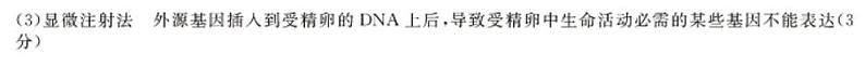2020届黑龙江省哈尔滨市高三5月模拟复课联考理科综合试题 PDF版02