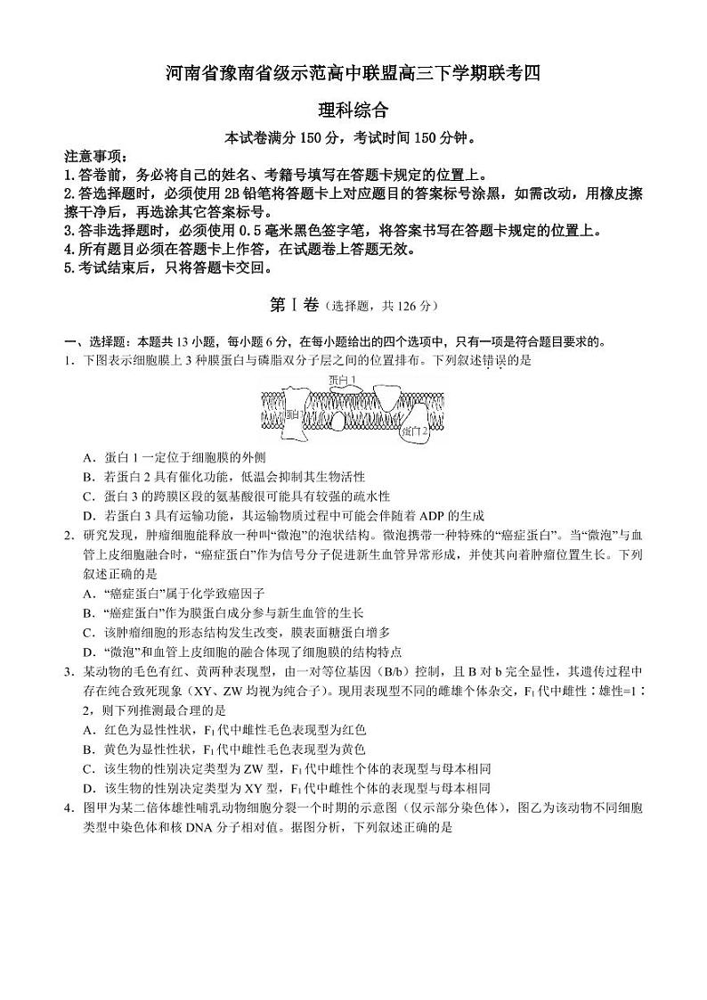 2022届河南省豫南省级示范高中联盟高三下学期6月考前模拟四理科综合试题（PDF版含答案）第1页