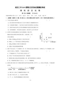 2019届湖北省武汉二中高三5月仿真模拟理科综合试题（PDF版）