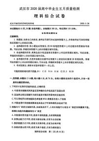 2020届湖北省武汉市高三毕业生五月质量检测理科综合试题 PDF版