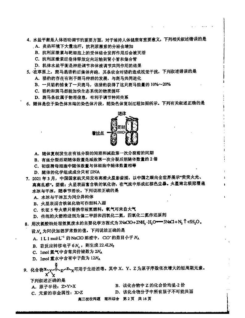 2021南宁三中高三下学期6月收网考理综试题扫描版含答案02