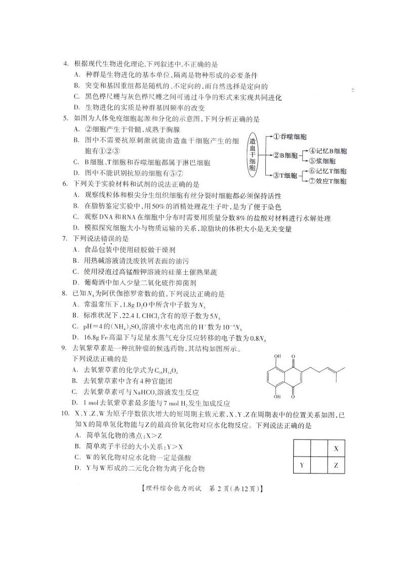 2021桂林、崇左高三下学期5月第二次联合模拟考试理科综合试题扫描版含答案第2页