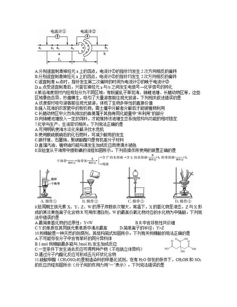 河南省九师联盟2021届高三四月联考理综试题 word含解析第2页