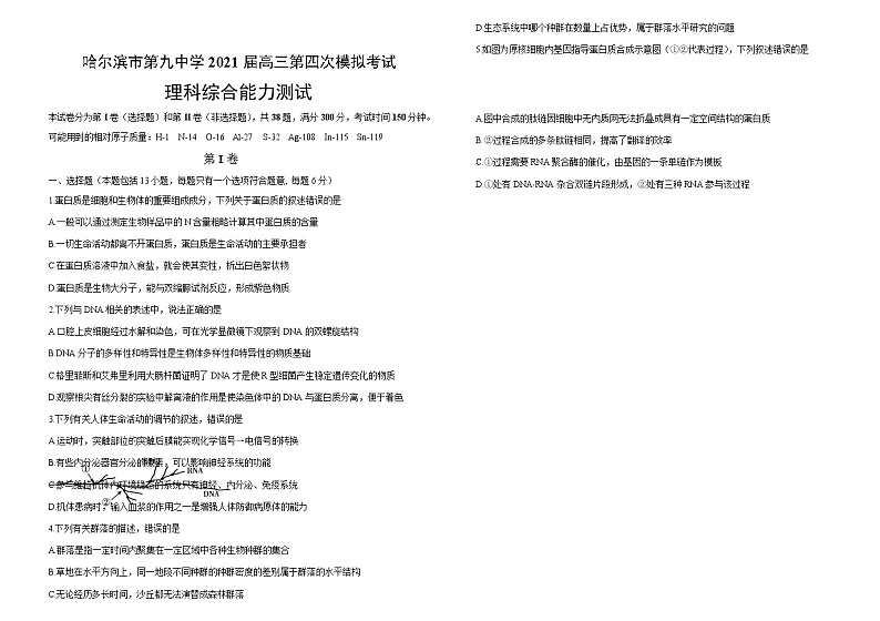 2021省哈尔滨九中高三下学期5月第三次模拟考试理综试题含答案01
