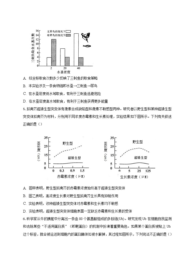 2021滁州定远县民族中学高三5月模拟检测理科综合试题含答案第2页