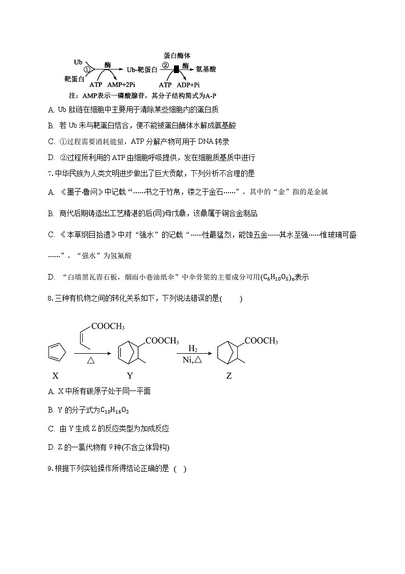 2021滁州定远县民族中学高三5月模拟检测理科综合试题含答案第3页