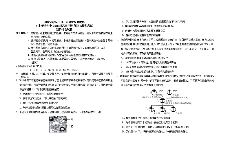 试题第1页