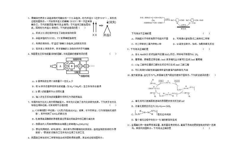 2021六安舒城中学高三下学期5月仿真试卷（二）理科综合试题含答案第2页
