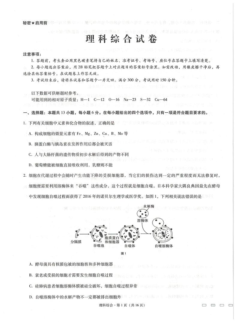 2021贵阳一中高三下学期高考适应性月考卷（五）理综试题扫描版含解析01