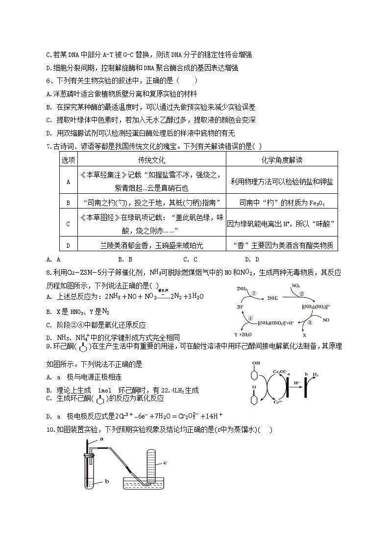 2021宝鸡渭滨区高三下学期高考适应性训练（一）理科综合试题含答案02