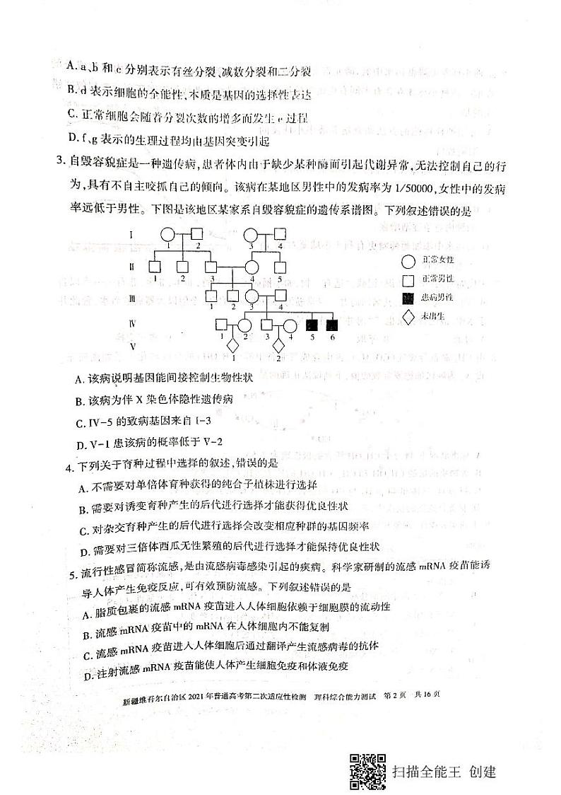 新疆维吾尔自治区2021年普通高考第二次适应性检测理科综合试卷（PDF版含答案）第2页