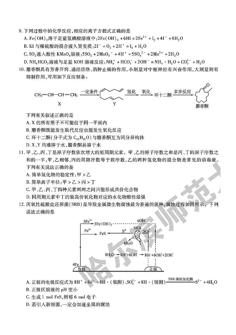 2022年东北三省三校（哈师大附中）高三第四次模拟考试理科综合试题含答案第3页