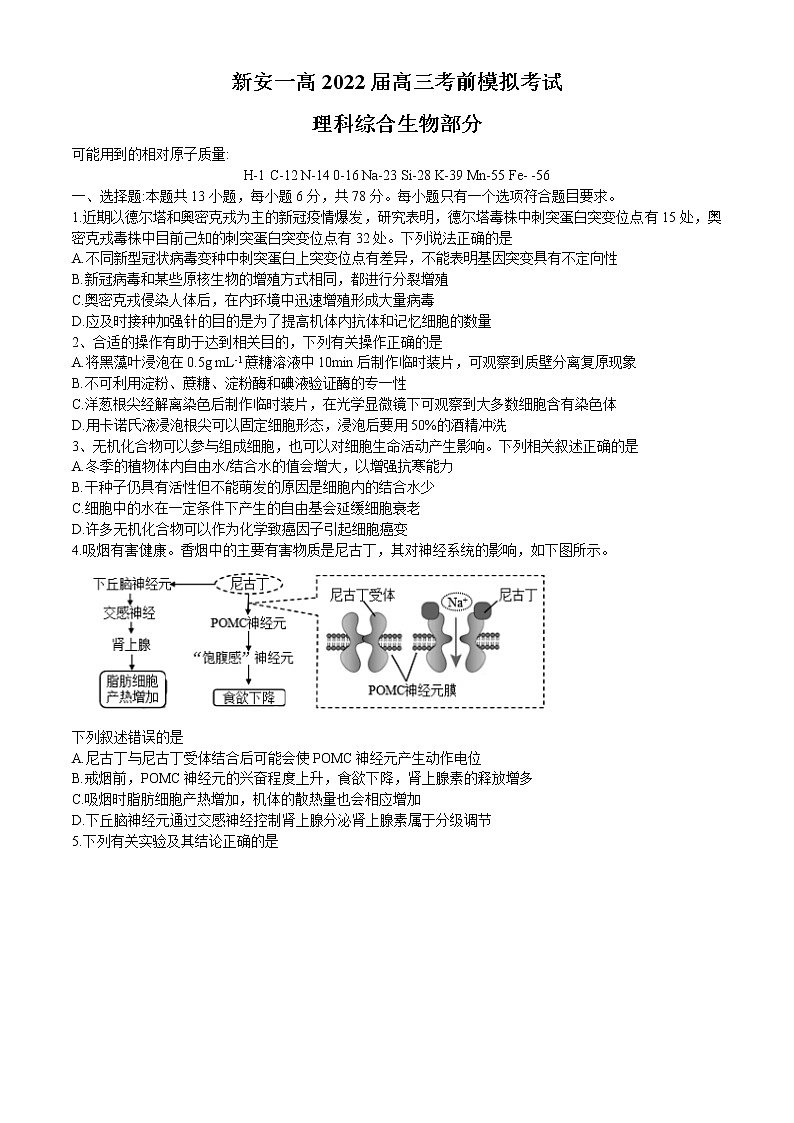 2022洛阳新安县一中高三下学期考前热身练（三）理综试题含答案第1页
