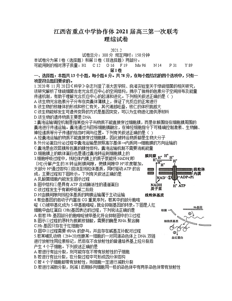 2021重点中学协作体（南昌二中、九江一中等）高三下学期第一次联考理科综合试题含答案01