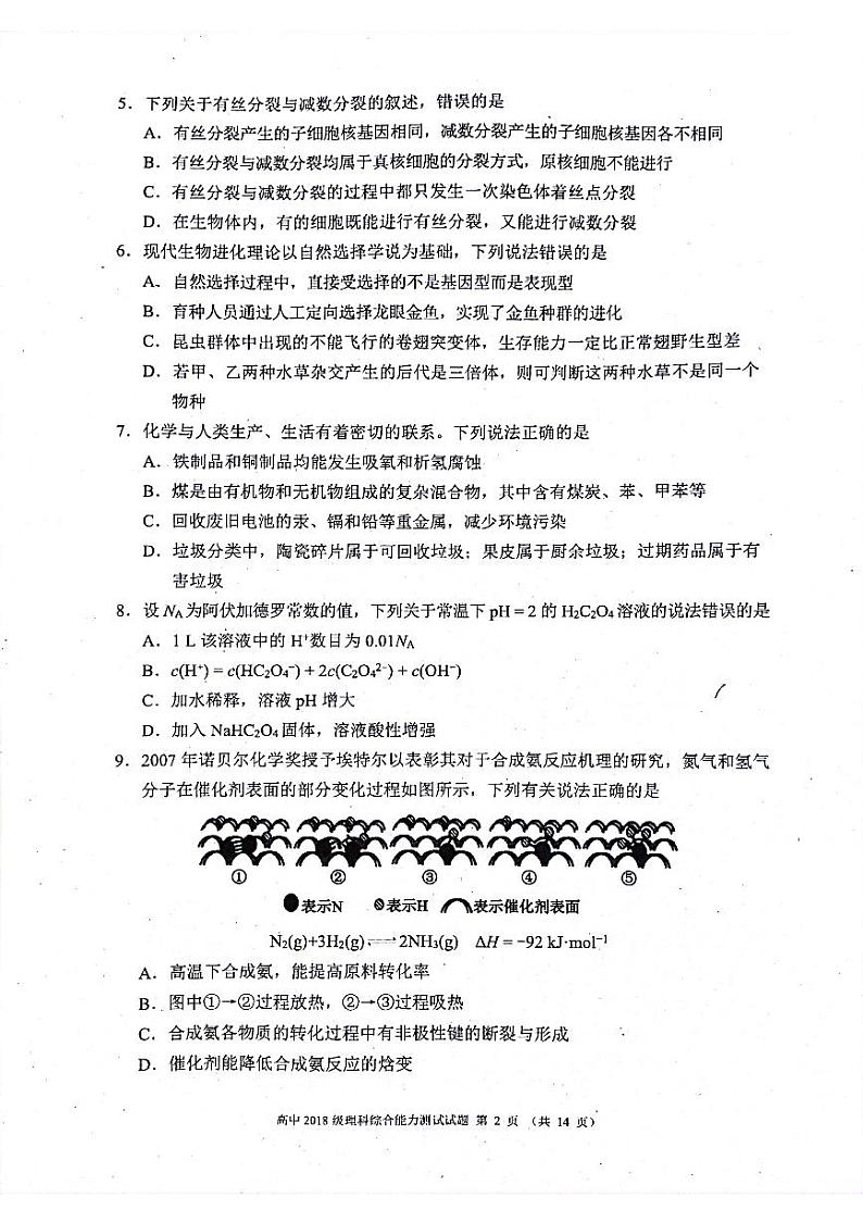 四川省成都市蓉城名校联盟2018级高三第二次联考理科综合试卷第2页