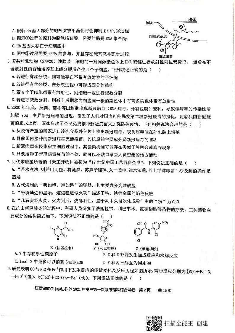 江西省重点中学协作体（南昌二中、九江一中等）2020-2021学年高三下学期第一次联考理科综合试题（扫描版）第2页