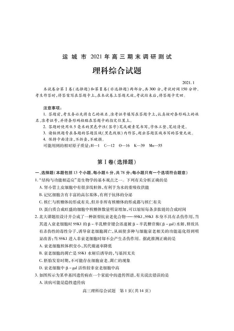 2021运城高三上学期期末考试理科综合试题（PDF可编辑）PDF版含答案01