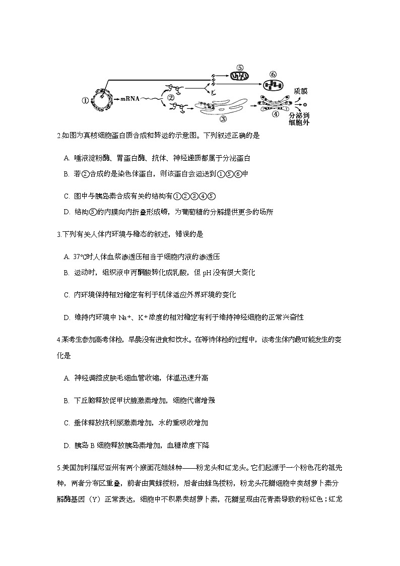 2021宁夏六盘山市高级中学高三上学期期末考试理科综合试题缺答案第2页