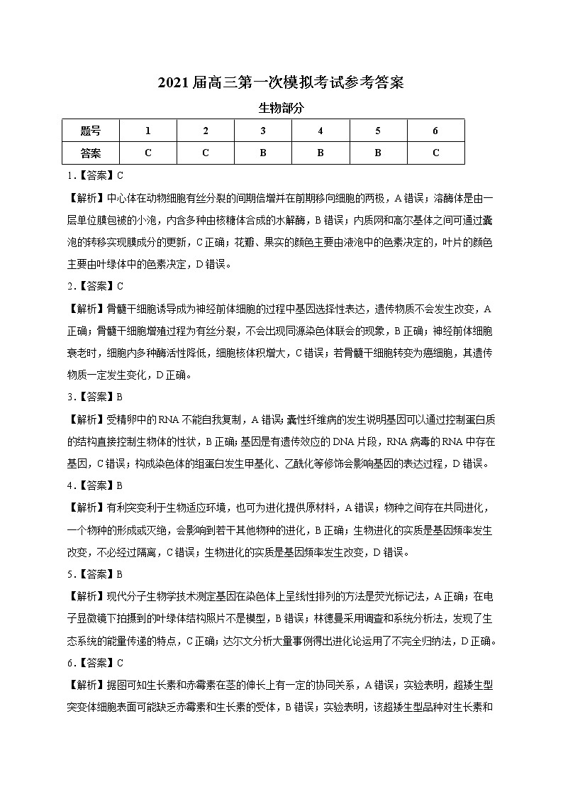 2021曲靖二中、大理新世纪中学高三第一次模拟考试理科综合试题PDF版含答案01