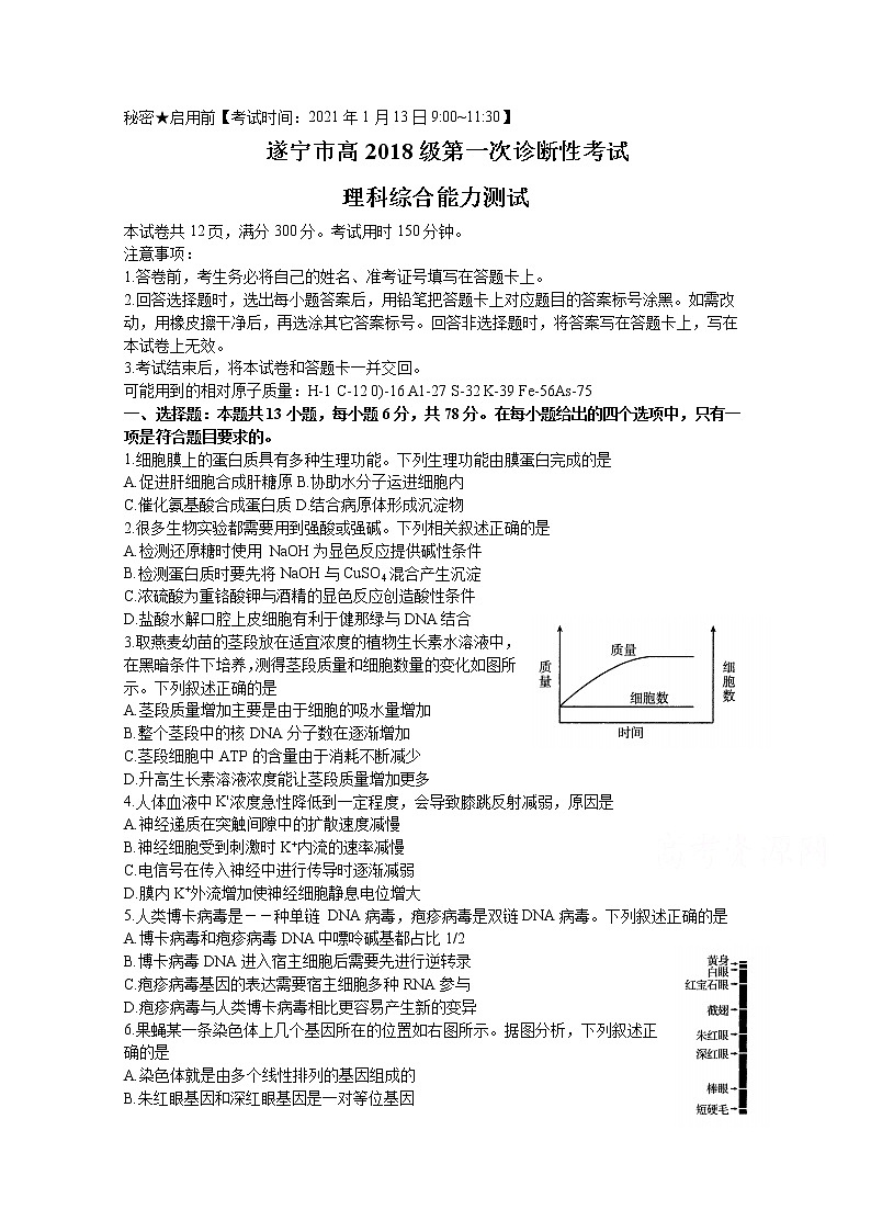 2021遂宁高三上学期第一次诊断性考试理科综合含答案01