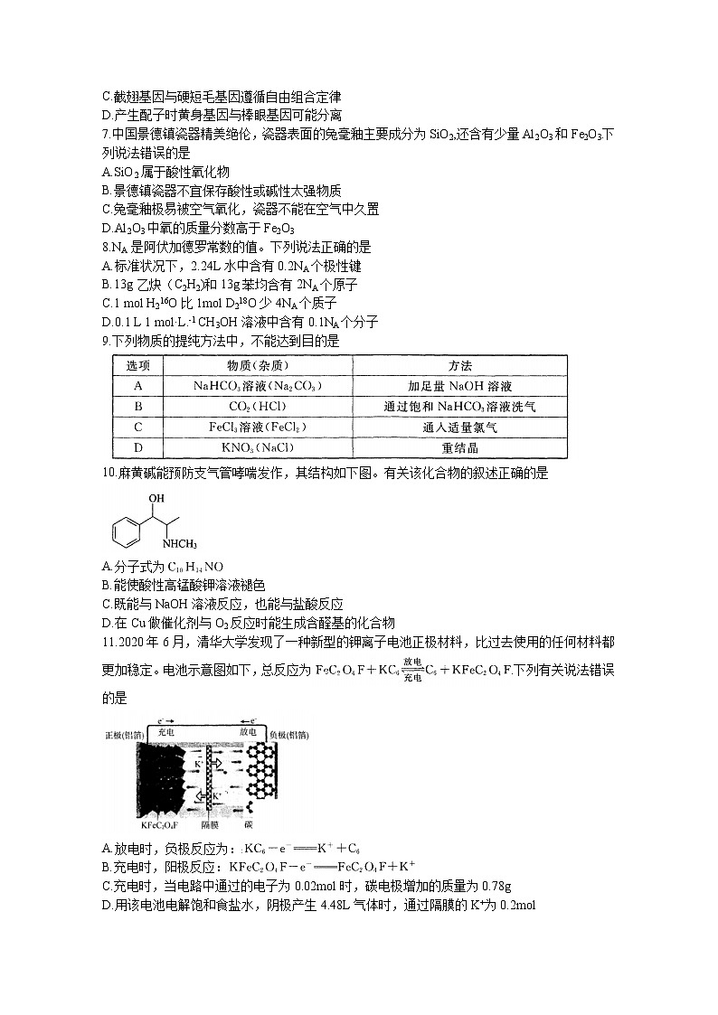 2021遂宁高三上学期第一次诊断性考试理科综合含答案02