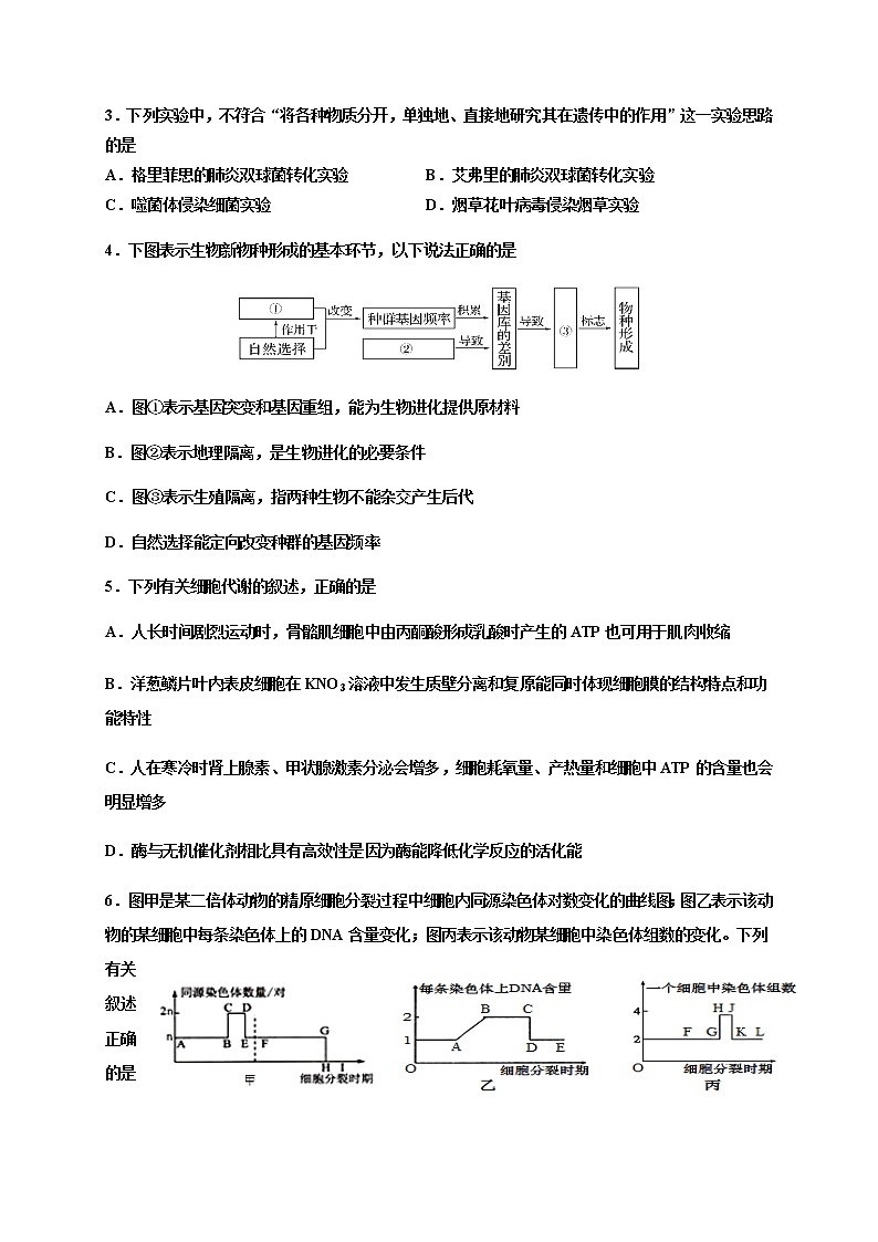 2021成都外国语学校、成都实验外国语高三12月月考理科综合试题含答案第2页
