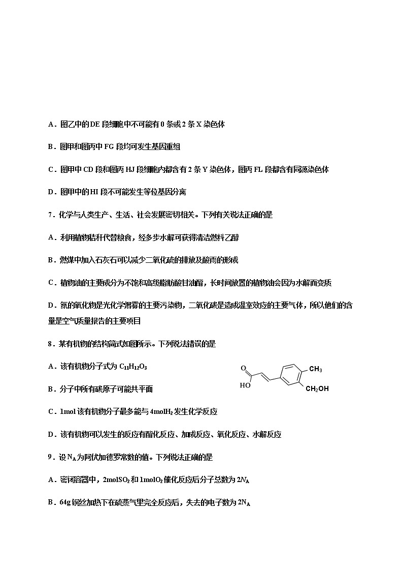 2021成都外国语学校、成都实验外国语高三12月月考理科综合试题含答案第3页