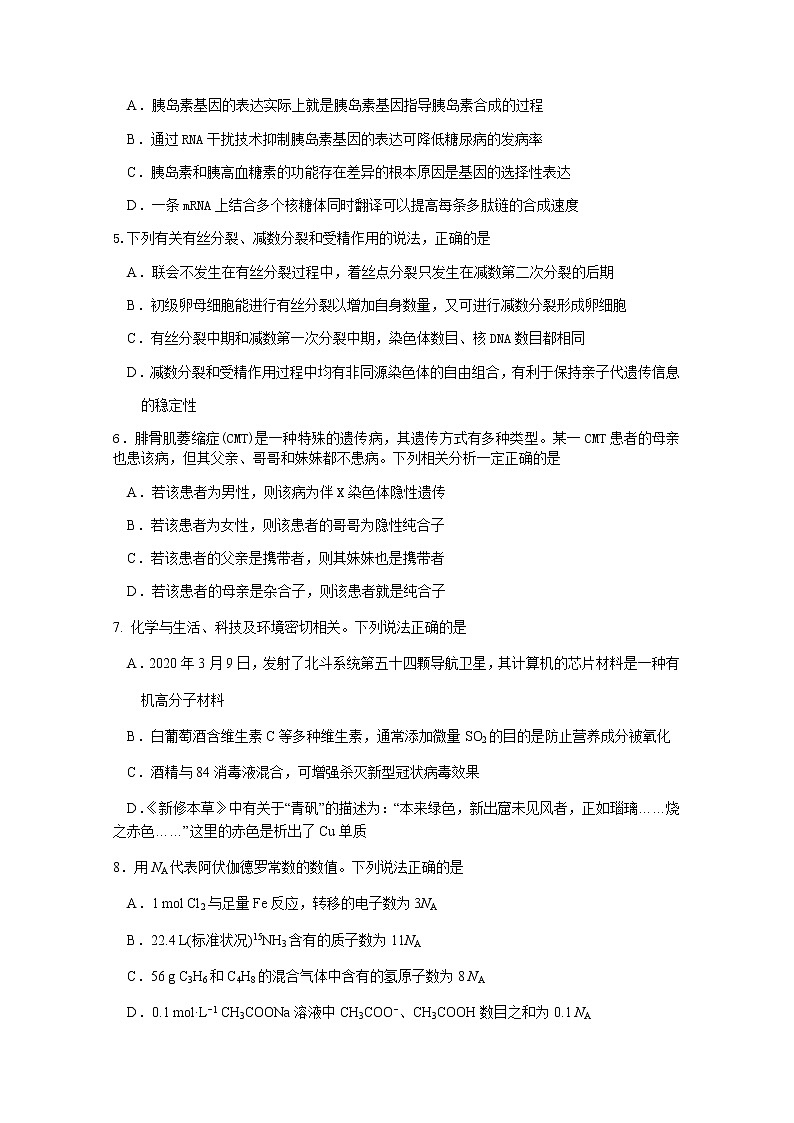 2021绵阳南山中学高三11月月考理科综合试题含答案第2页