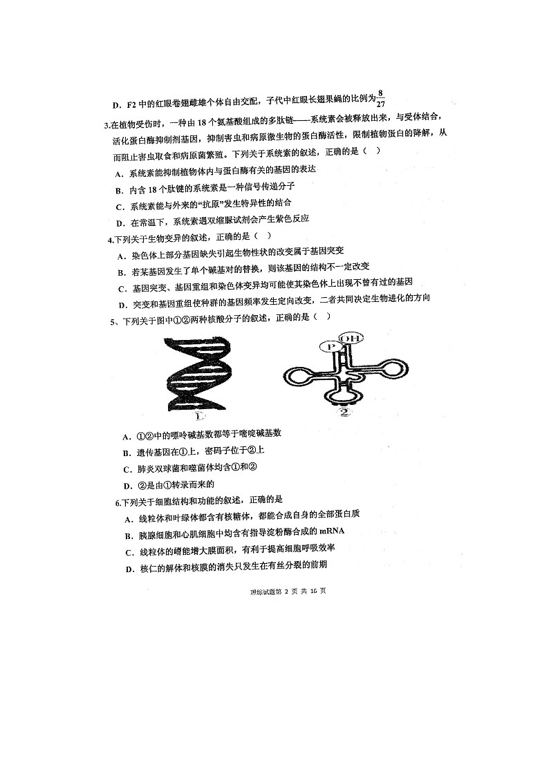 2021四川省仁寿一中校南校区高三第二次月考理科综合试题扫描版含答案02