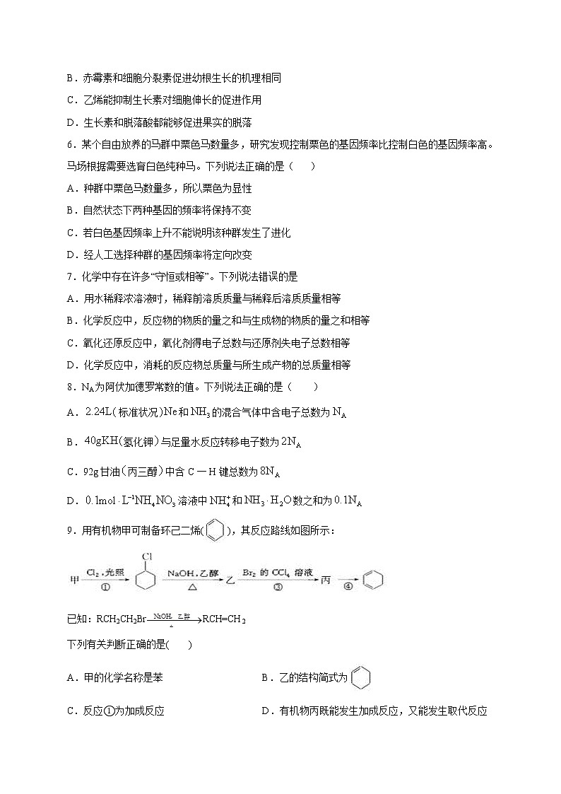 2021泸县二中高三上学期第一次月考理科综合试题含答案第2页