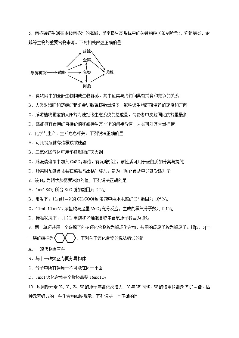 2021宜宾四中高三上学期第一次月考理科综合试题含答案第2页