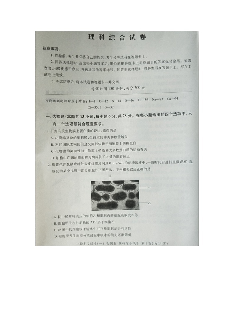 吉林省2021届高三一轮复习联考（一）  全国卷II理综试卷（扫描版）第1页