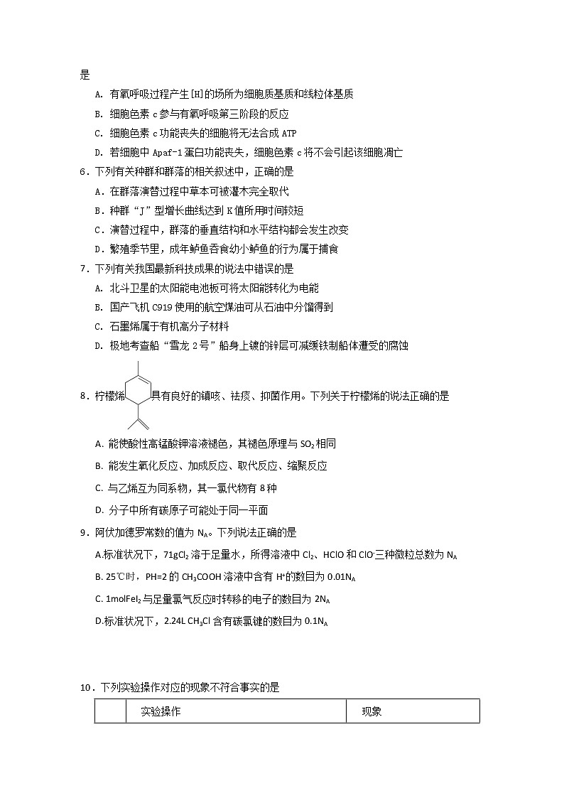 2020石嘴山三中高三高考第五次模拟考试理科综合试题含答案02