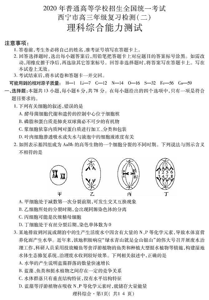 理科综合试题第1页