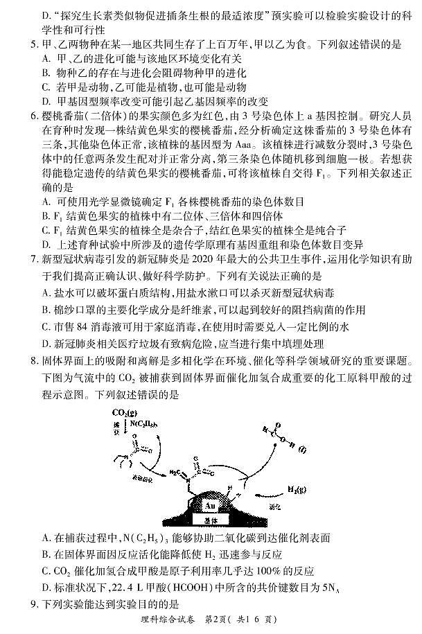 2020巩义高三模拟考试（6月）理科综合试题（可编辑）PDF版含答案02
