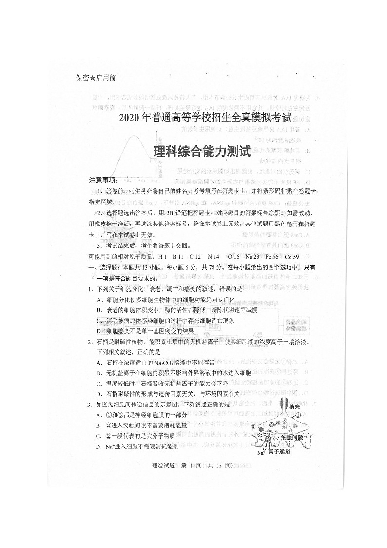 2020本溪满族自治县高级中学高三高考全真模拟统一考试理科综合试题扫描版含答案第2页