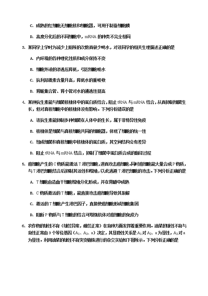 2020四川省峨眉二中高三高考适应性考试理综试题含答案第2页