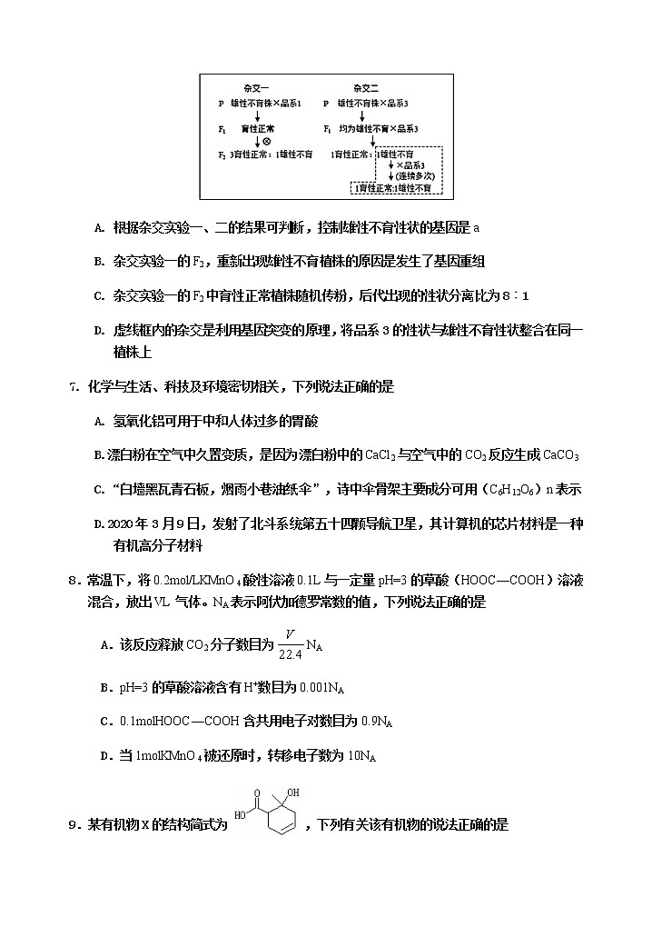 2020四川省峨眉二中高三高考适应性考试理综试题含答案第3页