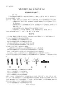 2020郎溪县高三仿真模拟考试（最后一卷）理综试题PDF版含答案