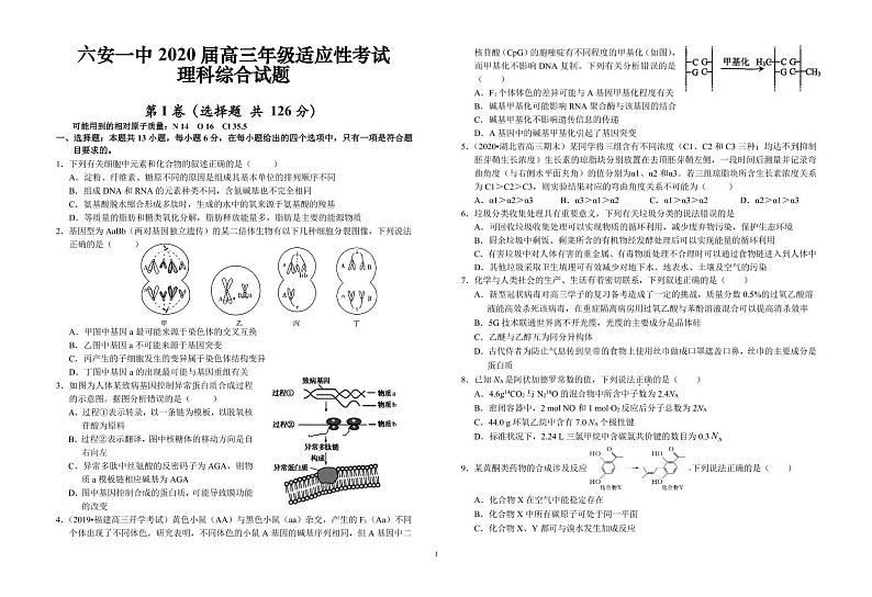 2020六安一中高三高考适应性考试理科综合试题（可编辑）PDF版含答案01
