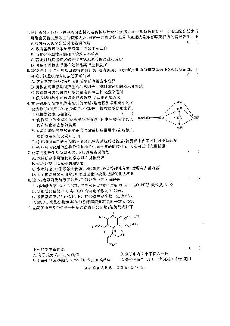 2020化州高三高考第四次模拟考试理科综合试题扫描版含答案第2页