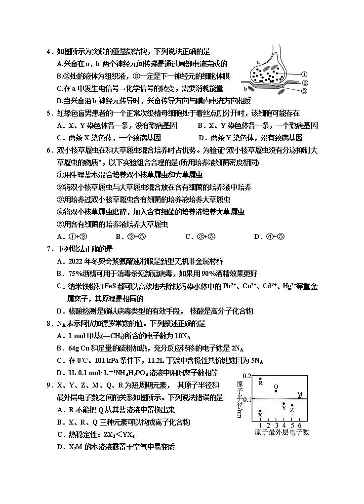 2020回族自治区银川一中高三第四次模拟考试理科综合试题含答案02