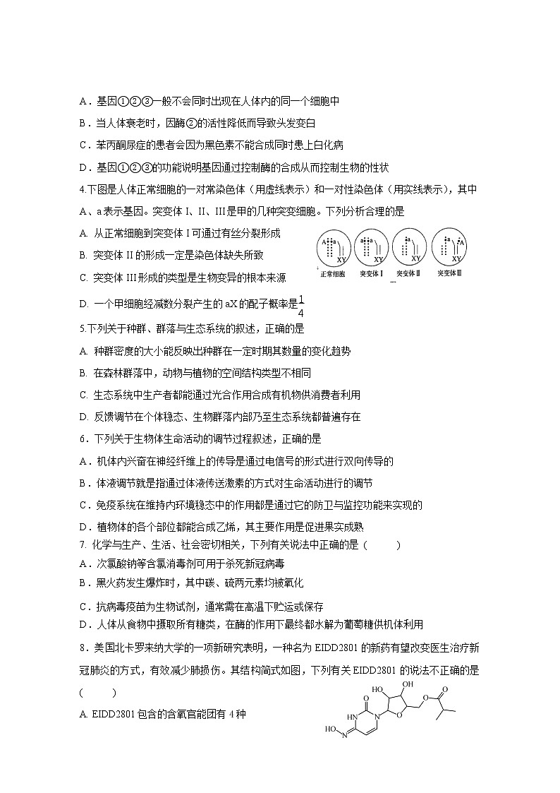 2020常德二中高三临考冲刺理科综合试题含答案02