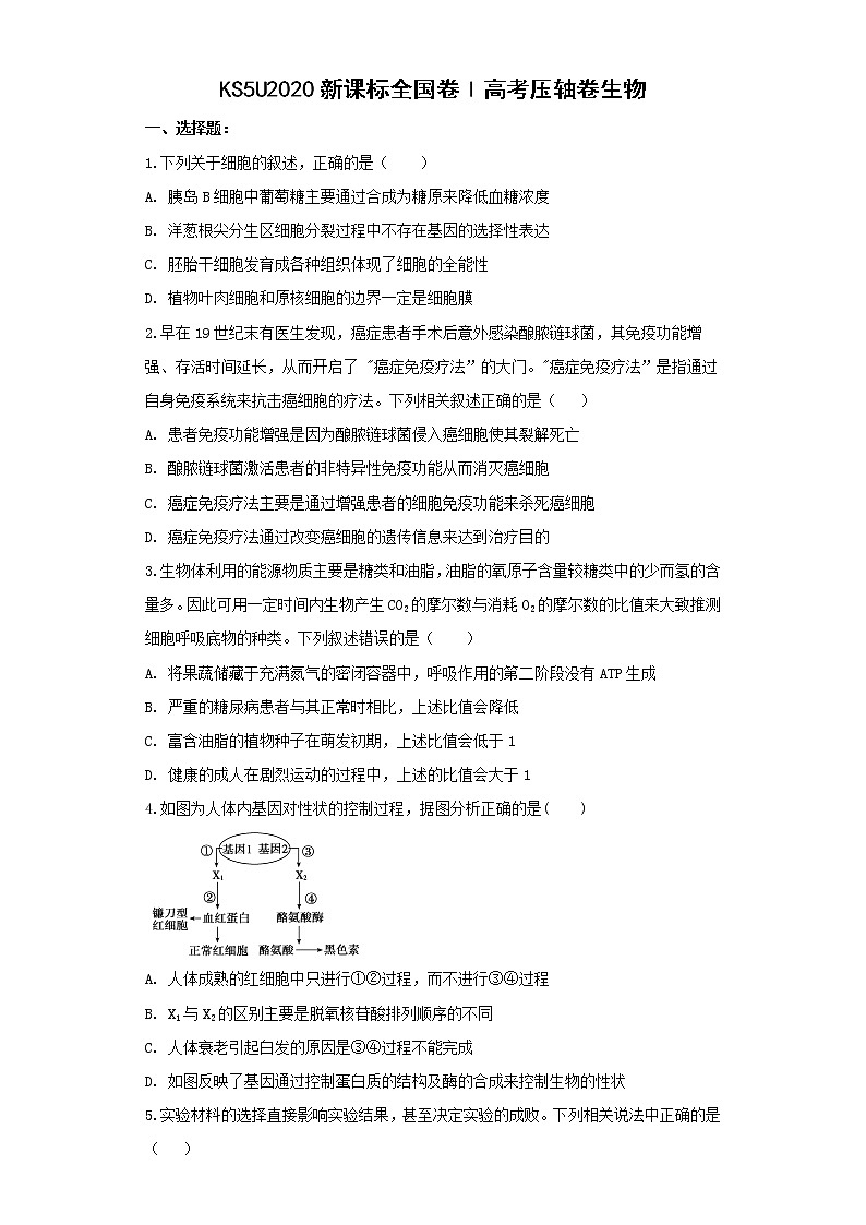 2020KS5U全国卷Ⅰ高考压轴卷理综含解析01
