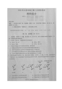 2020大连高三下学期第二次模拟考试理科综合试题扫描版含答案