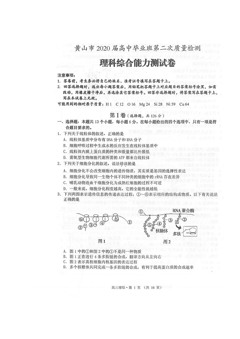2020黄山高三下学期第二次质量检测理科综合试题扫描版含答案第1页