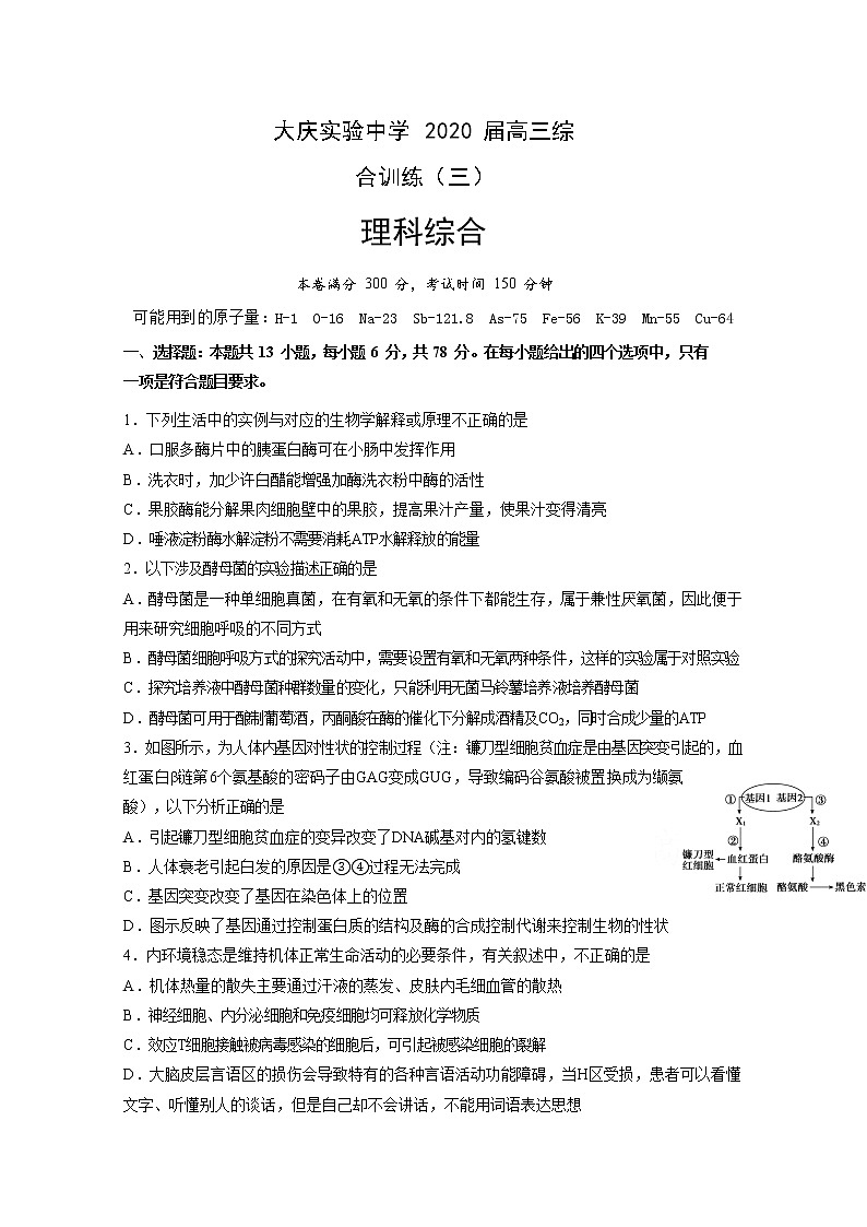 2020省大庆实验中学高三综合训练（三）理科综合试题含答案第1页