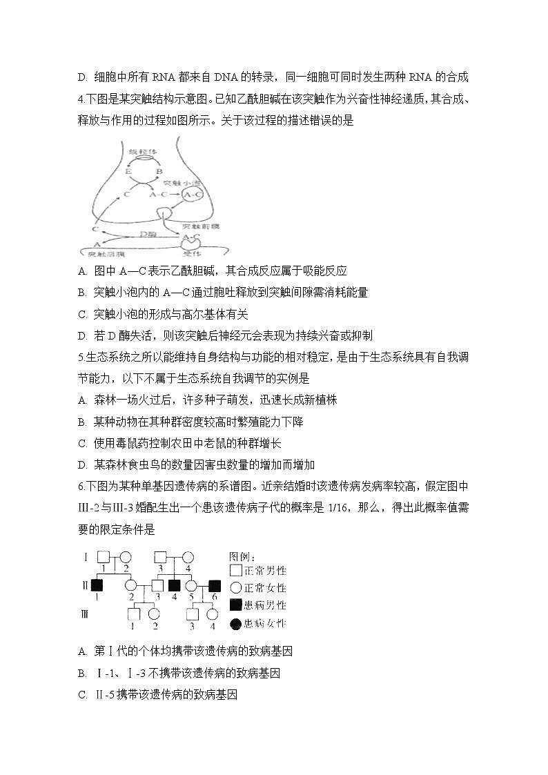 2020滁州定远县重点中学高三5月模拟理科综合试题含答案第2页